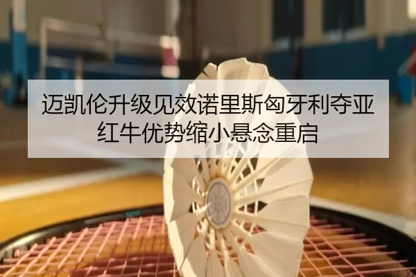 mai-kai-lun-sheng-ji-jian-xiao-nuo-li-si-xiong-ya-li-duo-ya-hong-niu-you-shi-suo-xiao-xuan-nian-chong-qi-3-527.jpg